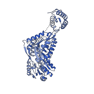 24540_7rlt_C_v1-1
Structure of ligand-free ALDH1L1 (10-formyltetrahydrofolate dehydrogenase)