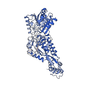 24540_7rlt_D_v1-1
Structure of ligand-free ALDH1L1 (10-formyltetrahydrofolate dehydrogenase)