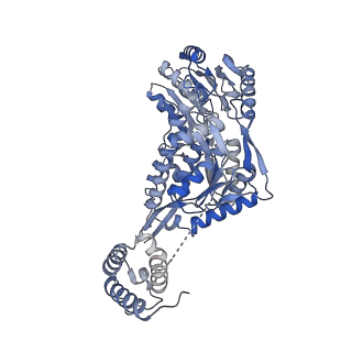 24547_7rlu_A_v1-1
Structure of ALDH1L1 (10-formyltetrahydrofolate dehydrogenase) in complex with NADP