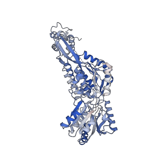 24547_7rlu_B_v1-1
Structure of ALDH1L1 (10-formyltetrahydrofolate dehydrogenase) in complex with NADP
