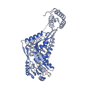 24547_7rlu_C_v1-1
Structure of ALDH1L1 (10-formyltetrahydrofolate dehydrogenase) in complex with NADP