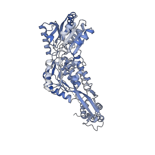 24547_7rlu_D_v1-1
Structure of ALDH1L1 (10-formyltetrahydrofolate dehydrogenase) in complex with NADP