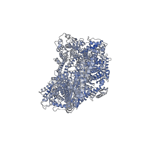 4917_6rla_A_v1-2
Structure of the dynein-2 complex; motor domains