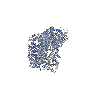 4917_6rla_B_v1-2
Structure of the dynein-2 complex; motor domains