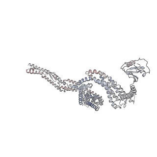 4918_6rlb_B_v1-2
Structure of the dynein-2 complex; tail domain