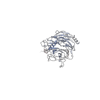 4918_6rlb_C_v1-2
Structure of the dynein-2 complex; tail domain