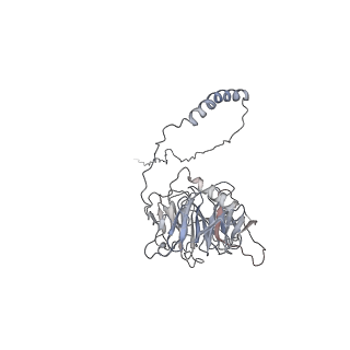 4918_6rlb_D_v1-2
Structure of the dynein-2 complex; tail domain