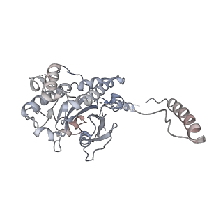 4918_6rlb_E_v1-2
Structure of the dynein-2 complex; tail domain