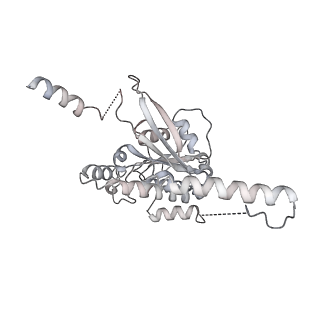 4918_6rlb_F_v1-2
Structure of the dynein-2 complex; tail domain