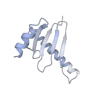4918_6rlb_G_v1-2
Structure of the dynein-2 complex; tail domain