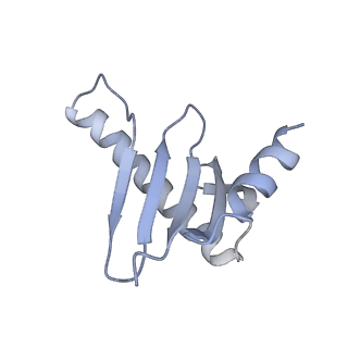 4918_6rlb_H_v1-2
Structure of the dynein-2 complex; tail domain