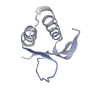 4918_6rlb_I_v1-2
Structure of the dynein-2 complex; tail domain