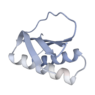 4918_6rlb_J_v1-2
Structure of the dynein-2 complex; tail domain