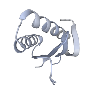 4918_6rlb_K_v1-2
Structure of the dynein-2 complex; tail domain