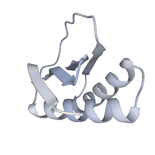 4918_6rlb_L_v1-2
Structure of the dynein-2 complex; tail domain