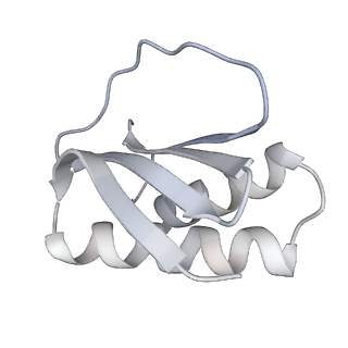 4918_6rlb_N_v1-2
Structure of the dynein-2 complex; tail domain