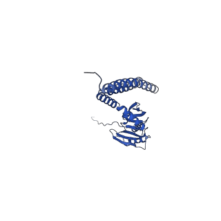 4919_6rld_A_v1-2
STRUCTURE OF THE MECHANOSENSITIVE CHANNEL MSCS EMBEDDED IN THE MEMBRANE BILAYER