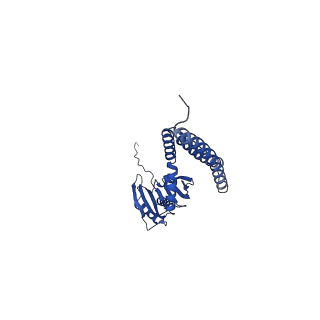 4919_6rld_B_v1-2
STRUCTURE OF THE MECHANOSENSITIVE CHANNEL MSCS EMBEDDED IN THE MEMBRANE BILAYER