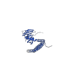 4919_6rld_D_v1-2
STRUCTURE OF THE MECHANOSENSITIVE CHANNEL MSCS EMBEDDED IN THE MEMBRANE BILAYER