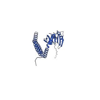 4919_6rld_F_v1-2
STRUCTURE OF THE MECHANOSENSITIVE CHANNEL MSCS EMBEDDED IN THE MEMBRANE BILAYER