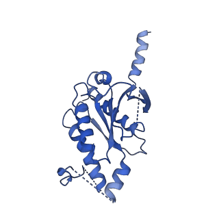 24569_7rmg_A_v1-2
Substance P bound to active human neurokinin 1 receptor in complex with miniGs/q70