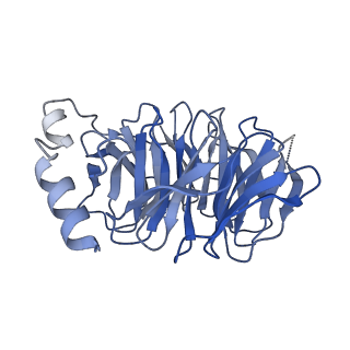 24569_7rmg_B_v1-2
Substance P bound to active human neurokinin 1 receptor in complex with miniGs/q70