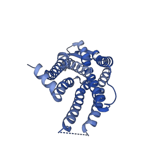 24569_7rmg_R_v1-2
Substance P bound to active human neurokinin 1 receptor in complex with miniGs/q70
