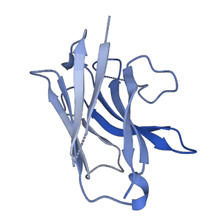 24570_7rmh_N_v1-2
Substance P bound to active human neurokinin 1 receptor in complex with miniGs399
