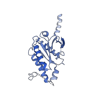 24572_7rmi_A_v1-2
SP6-11 biased agonist bound to active human neurokinin 1 receptor in complex with miniGs/q70