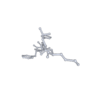 24572_7rmi_S_v1-2
SP6-11 biased agonist bound to active human neurokinin 1 receptor in complex with miniGs/q70