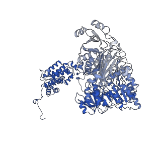 24577_7rmp_A_v1-0
Structure of ACLY D1026A - substrates-asym