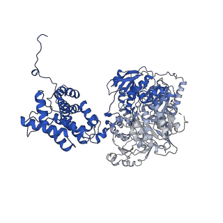 24577_7rmp_B_v1-0
Structure of ACLY D1026A - substrates-asym