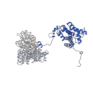 24577_7rmp_C_v1-0
Structure of ACLY D1026A - substrates-asym
