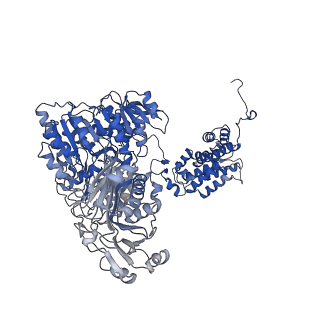 24577_7rmp_D_v1-0
Structure of ACLY D1026A - substrates-asym
