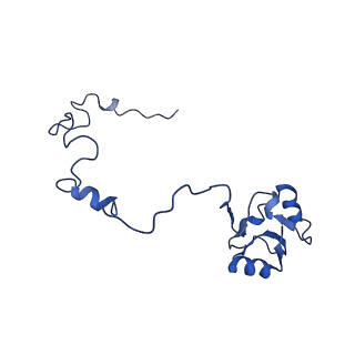 4935_6rm3_LAA_v1-3
Evolutionary compaction and adaptation visualized by the structure of the dormant microsporidian ribosome