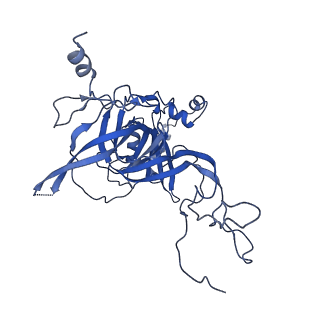 4935_6rm3_LB0_v1-3
Evolutionary compaction and adaptation visualized by the structure of the dormant microsporidian ribosome