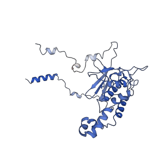 4935_6rm3_LD0_v1-3
Evolutionary compaction and adaptation visualized by the structure of the dormant microsporidian ribosome