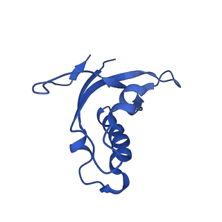 4935_6rm3_LDD_v1-3
Evolutionary compaction and adaptation visualized by the structure of the dormant microsporidian ribosome