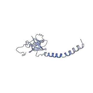 4935_6rm3_LE0_v1-3
Evolutionary compaction and adaptation visualized by the structure of the dormant microsporidian ribosome