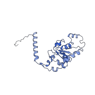 4935_6rm3_LG0_v1-3
Evolutionary compaction and adaptation visualized by the structure of the dormant microsporidian ribosome