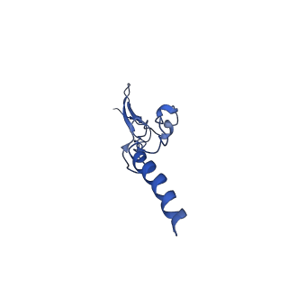 4935_6rm3_LGG_v1-3
Evolutionary compaction and adaptation visualized by the structure of the dormant microsporidian ribosome