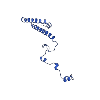 4935_6rm3_LHH_v1-3
Evolutionary compaction and adaptation visualized by the structure of the dormant microsporidian ribosome