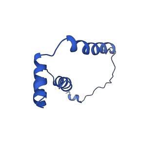 4935_6rm3_LII_v1-3
Evolutionary compaction and adaptation visualized by the structure of the dormant microsporidian ribosome