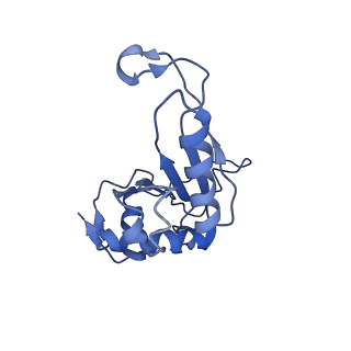 4935_6rm3_LJ0_v1-3
Evolutionary compaction and adaptation visualized by the structure of the dormant microsporidian ribosome