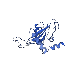 4935_6rm3_LN0_v1-3
Evolutionary compaction and adaptation visualized by the structure of the dormant microsporidian ribosome