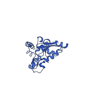4935_6rm3_LO0_v1-3
Evolutionary compaction and adaptation visualized by the structure of the dormant microsporidian ribosome