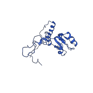 4935_6rm3_LQ0_v1-3
Evolutionary compaction and adaptation visualized by the structure of the dormant microsporidian ribosome