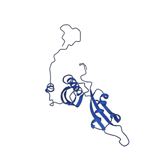 4935_6rm3_LS0_v1-3
Evolutionary compaction and adaptation visualized by the structure of the dormant microsporidian ribosome
