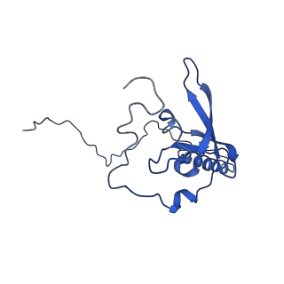 4935_6rm3_LT0_v1-3
Evolutionary compaction and adaptation visualized by the structure of the dormant microsporidian ribosome