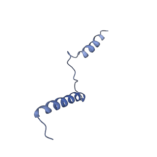 4935_6rm3_LXX_v1-3
Evolutionary compaction and adaptation visualized by the structure of the dormant microsporidian ribosome